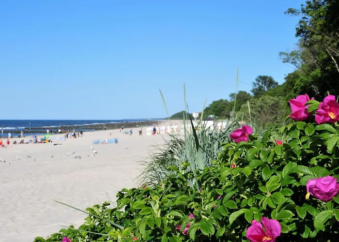 Mikro Solo Na Starowce 8m2 شقة *